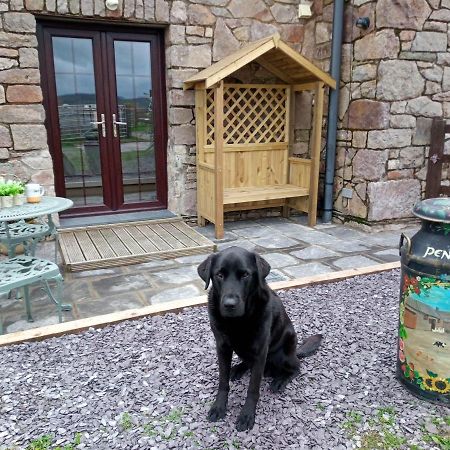 Conwy Pen Cefn Farm Holiday Abergele Exterior photo