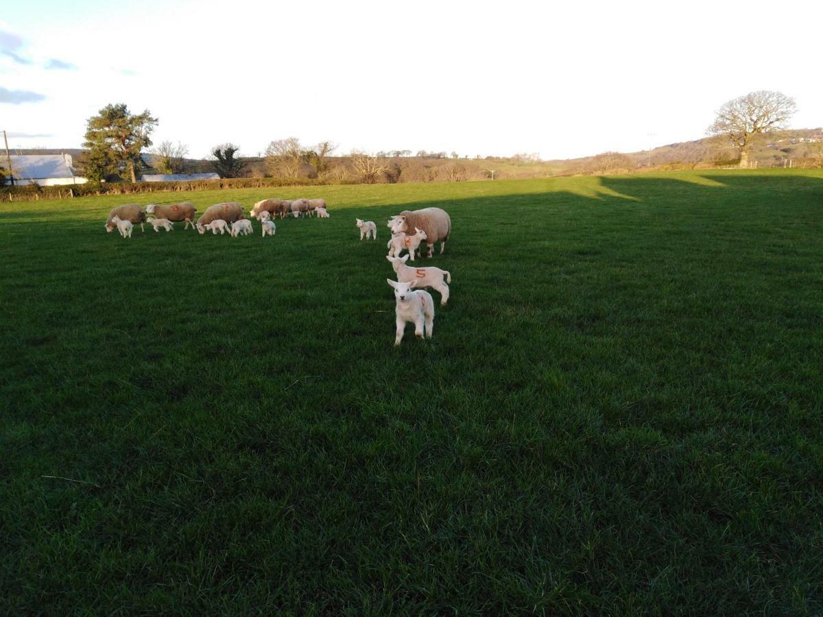 Conwy Pen Cefn Farm Holiday Abergele Exterior photo